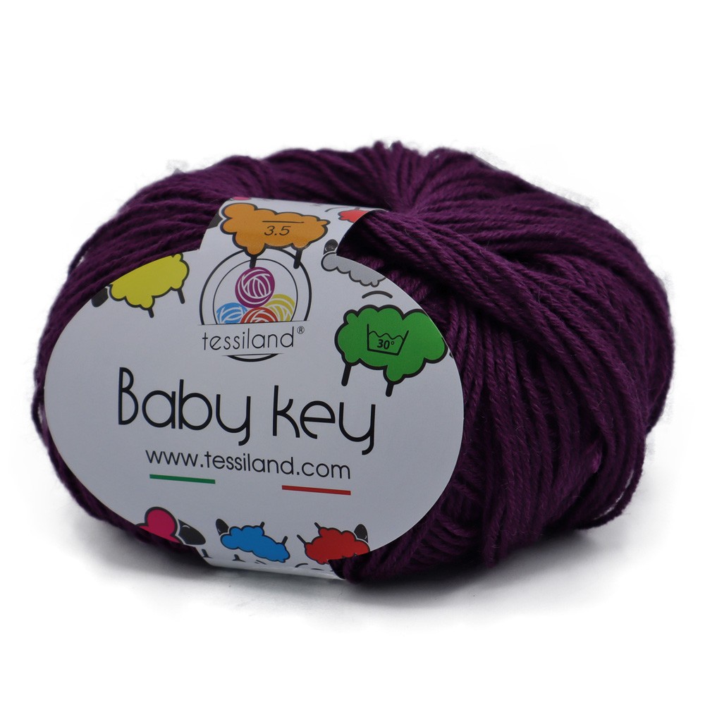 BabyKey uni Prune Grammes 50