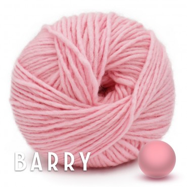 Barry Pink Grams 100