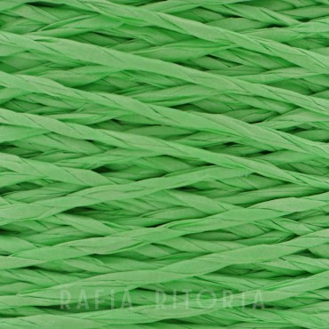 Rafia Ritorta Verde gr 250