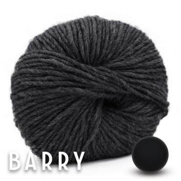 Barry Anthracite Grammes 100