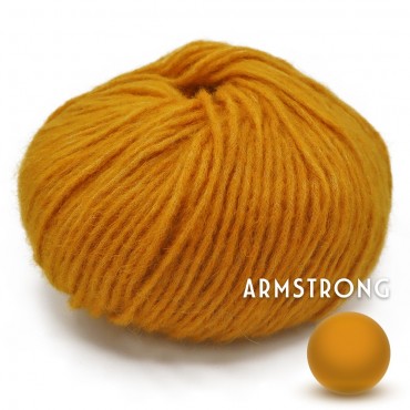Armstrong Moutarde Grammes 50