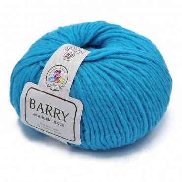 Barry Turquoise Grammes 100