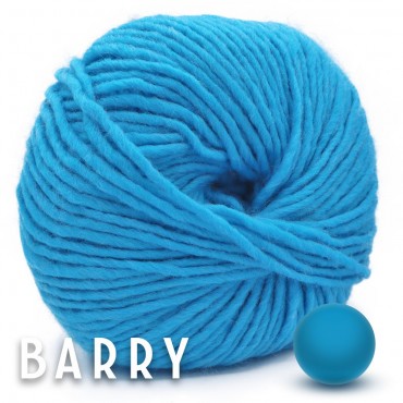 Barry Turquoise Grammes 100