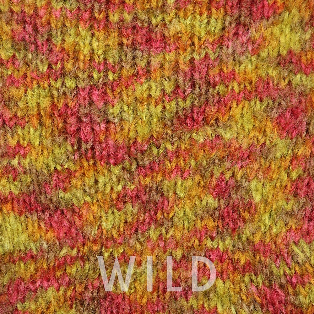 Wild Toucan grammes 50