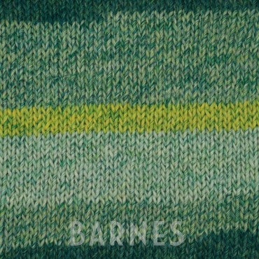 Barnes Green Grammes 50