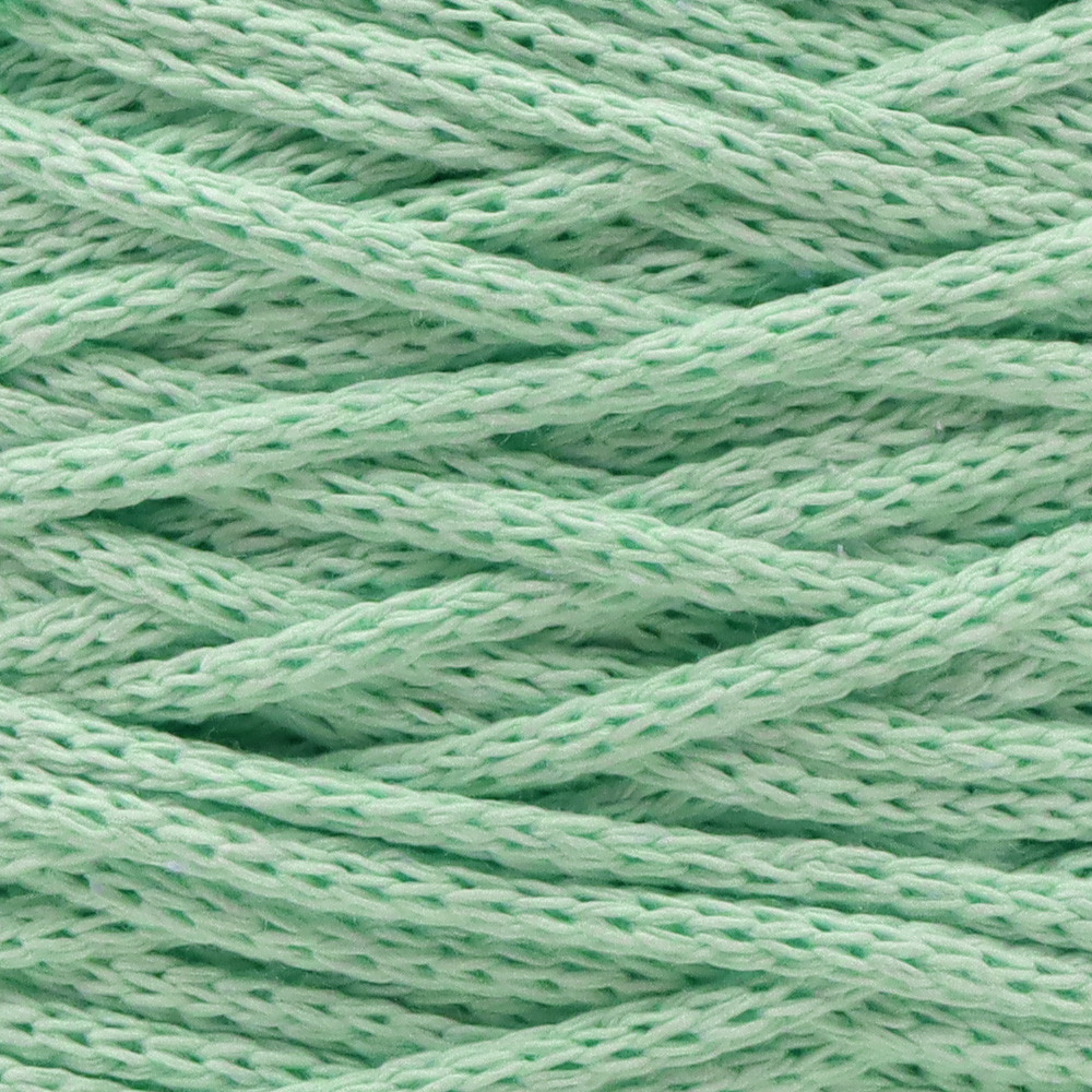 Cordon Ternes Vert d'Eau Grammes 200