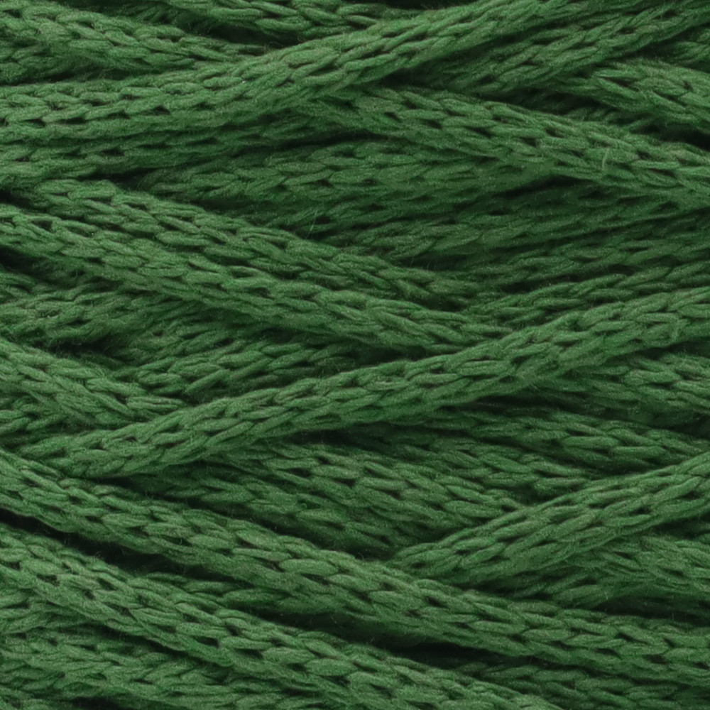 Cordon Ternes Vert Grammes 200