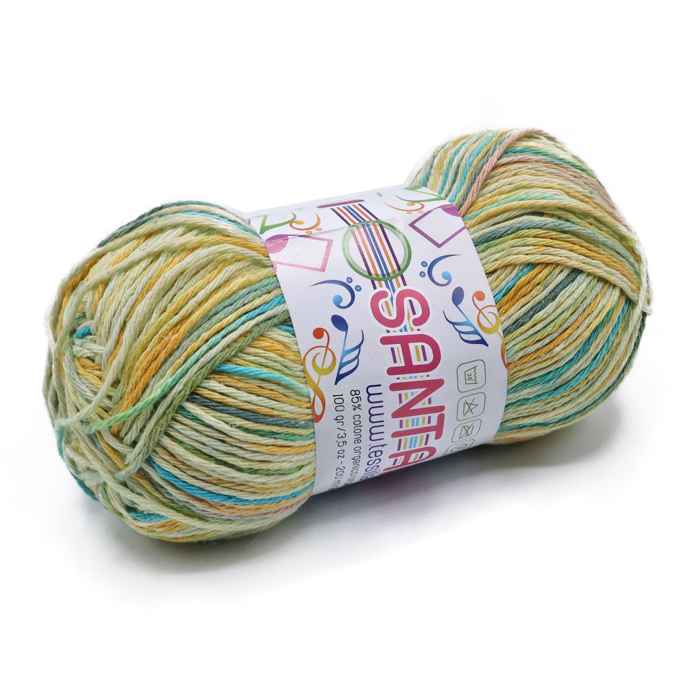 Santana Mojito Grammes 100