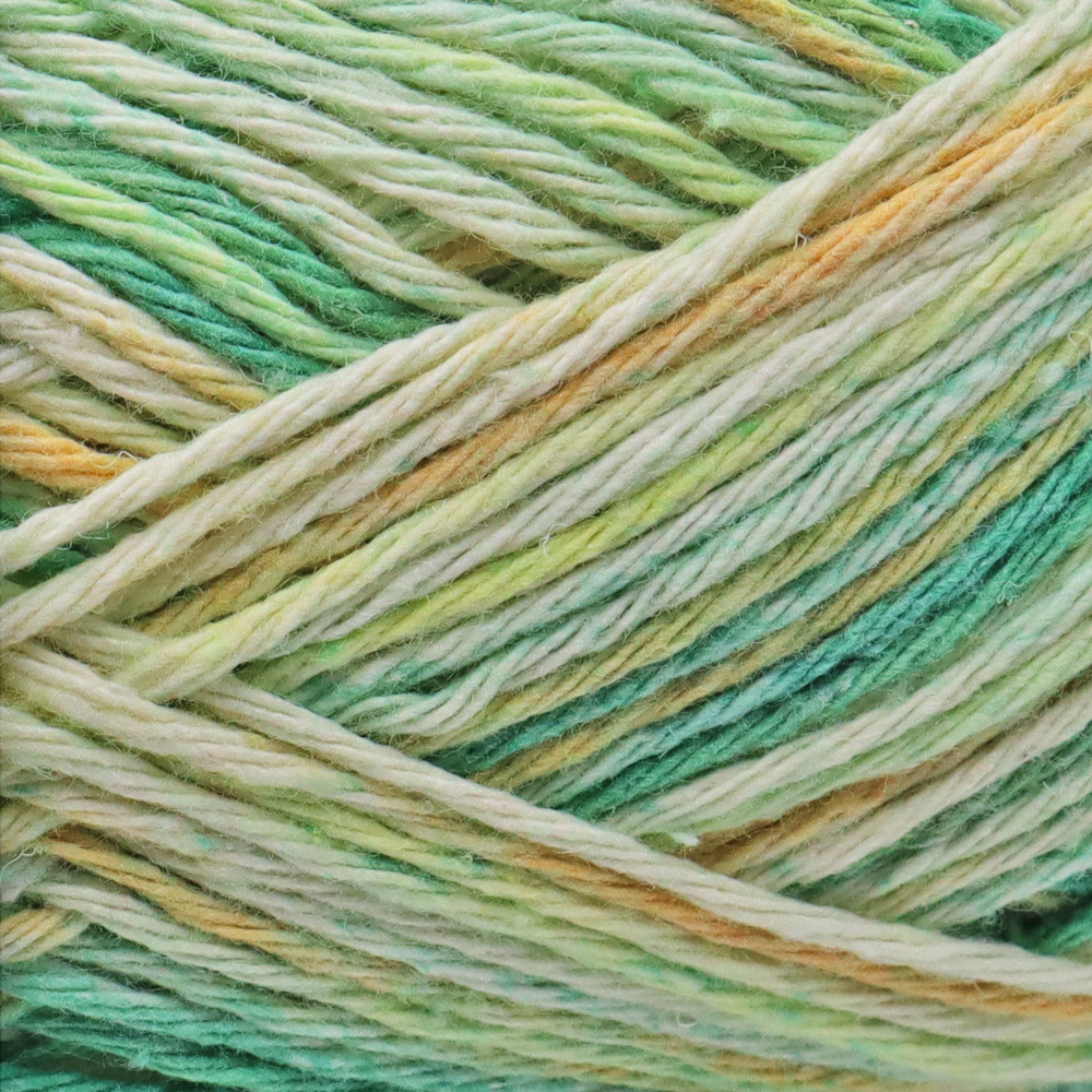 Santana Fizz Grams 100