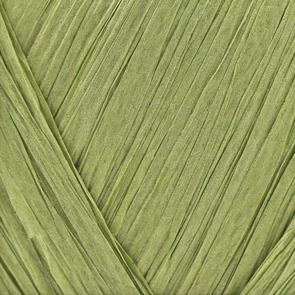 Raffia ECO VITA Pistachio 50 grams