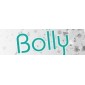 bolly